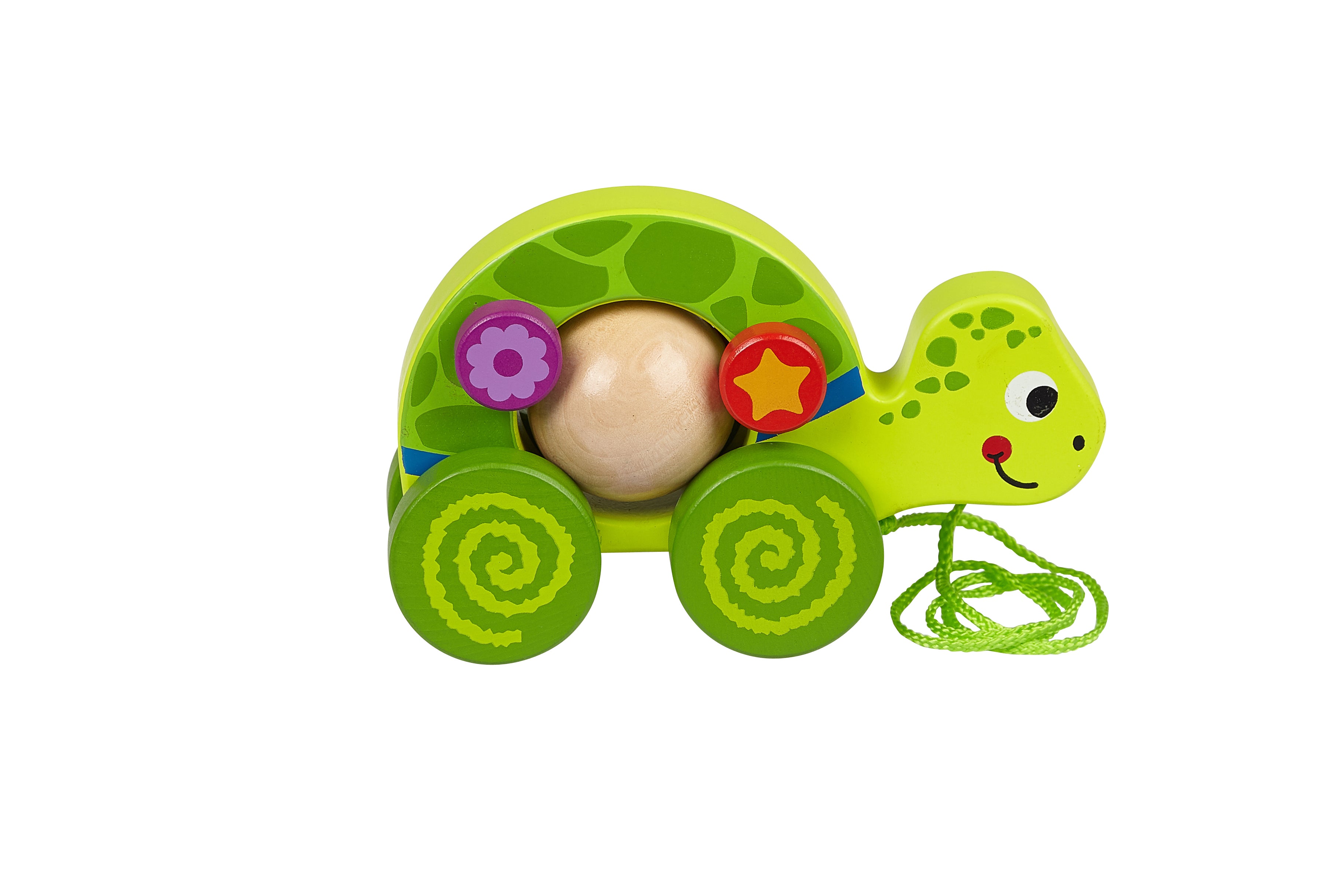 Toysters Pull Along Turtle Walking Toy