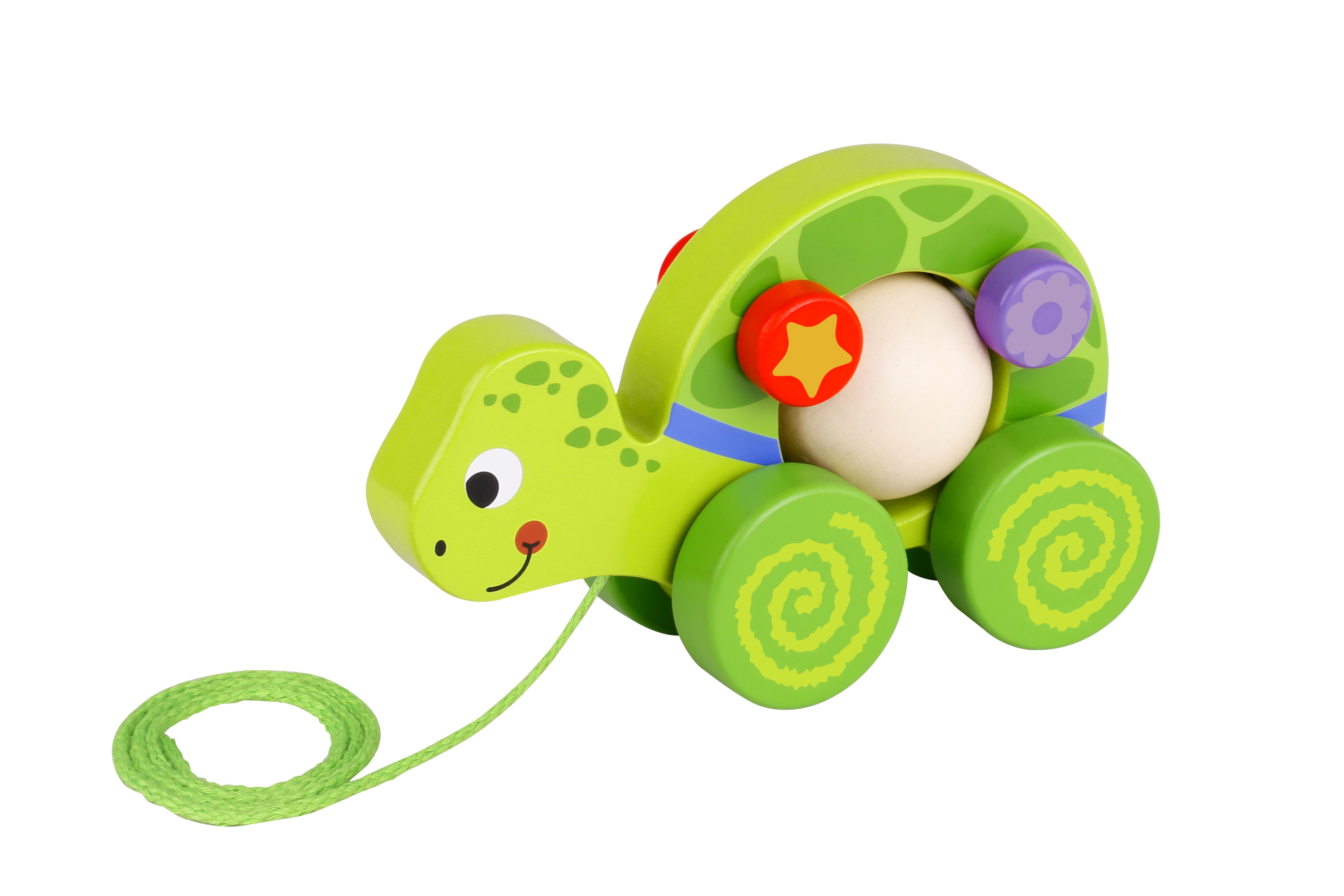 Toysters Pull Along Turtle Walking Toy